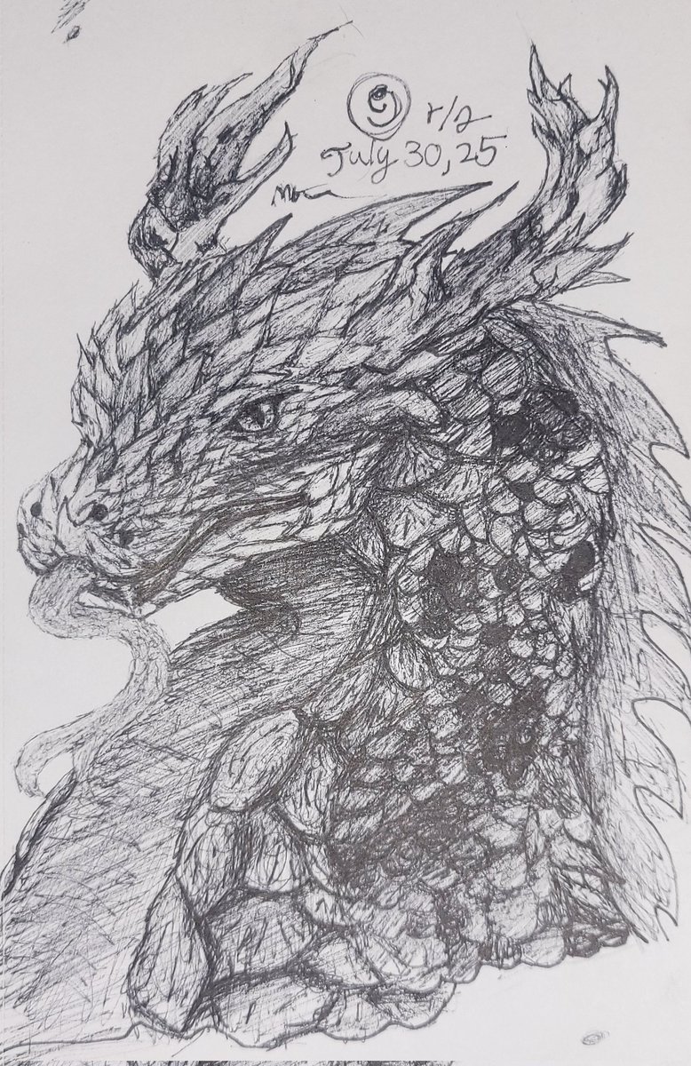 Just took 4 hours on this not to long ago ! Did this all in pen and free handed it!

#pen #dragon #snake #art #artwork #animal #animals