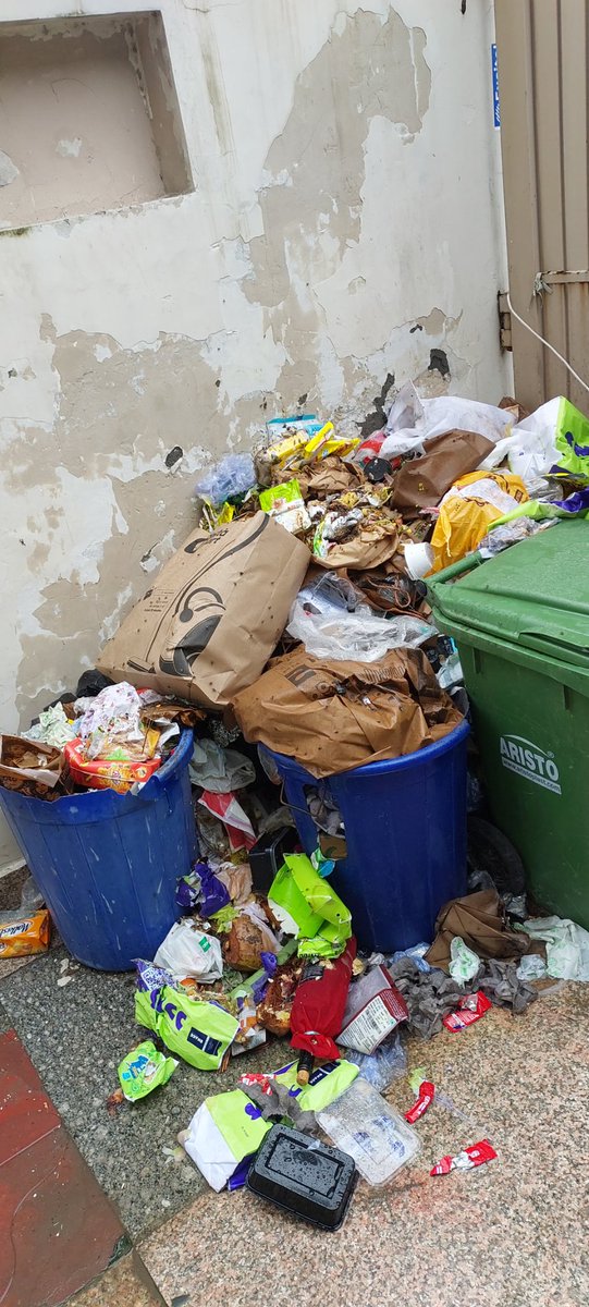 er_sndpcds's tweet photo. @noida_authority @CeoNoida @noida_authority 
📍Sector 117, Noida GT-24
This is the state of waste outside my PG accommodation where 35-40 residents live. Despite multiple complaints over the last 5 days, the PG owner and caretaker have taken no action.
1/4 https://t.co/DJL6YvtQWB