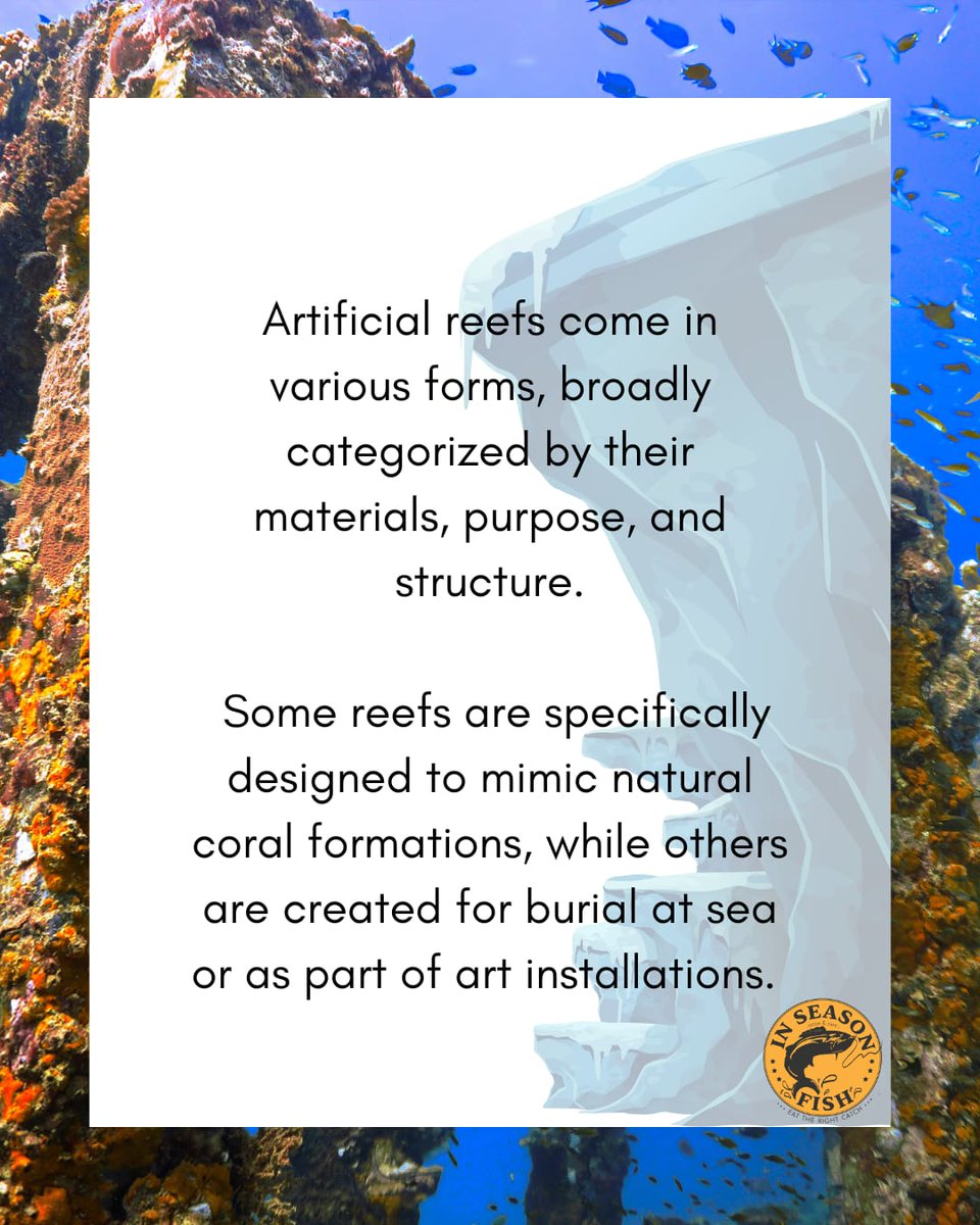 InSeason Fish tweet media