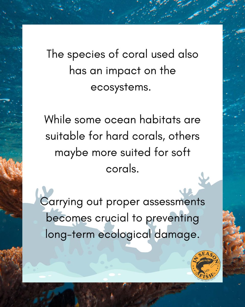 InSeason Fish tweet media