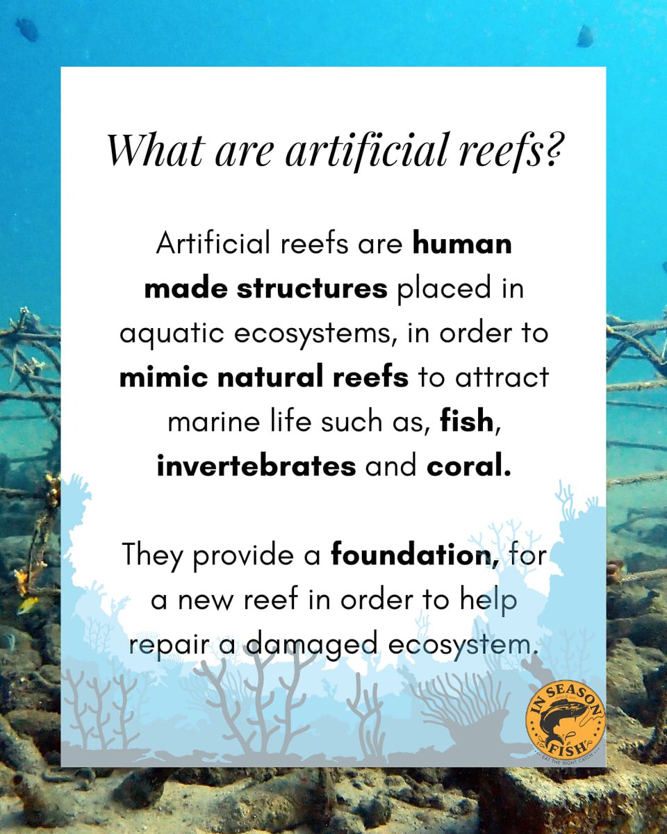 InSeason Fish tweet media