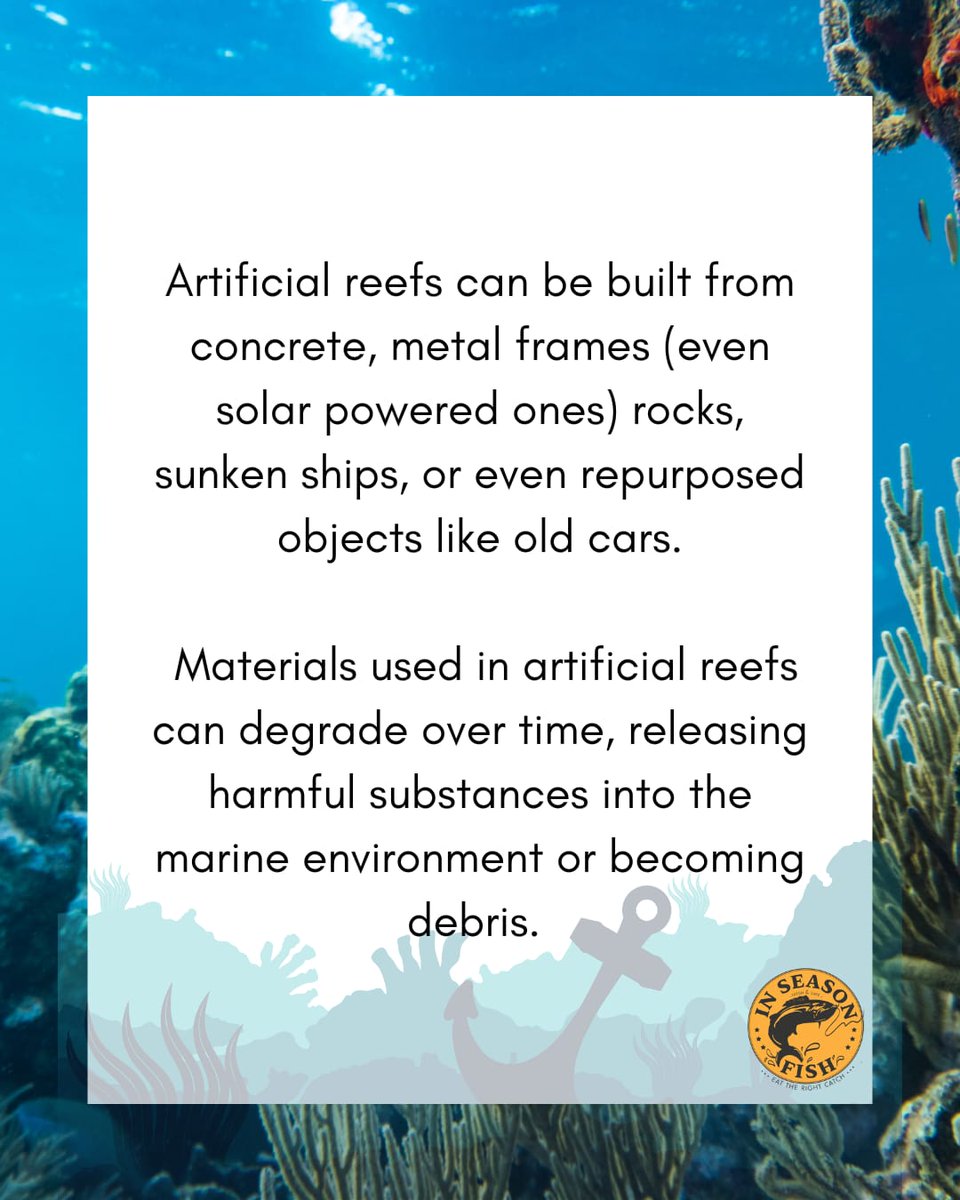 InSeason Fish tweet media