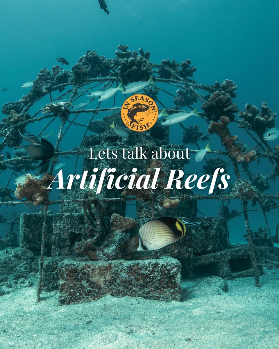 InSeason Fish tweet media