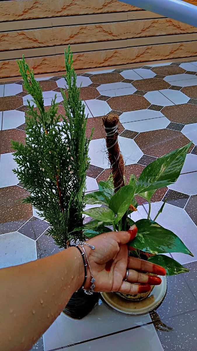 ये मौसम की बारिश,ये बारिश का पानी
ये पानी की बूँदें, तुझे ही तो ढूँढें...... 🌧️🎵😋

#बारिश