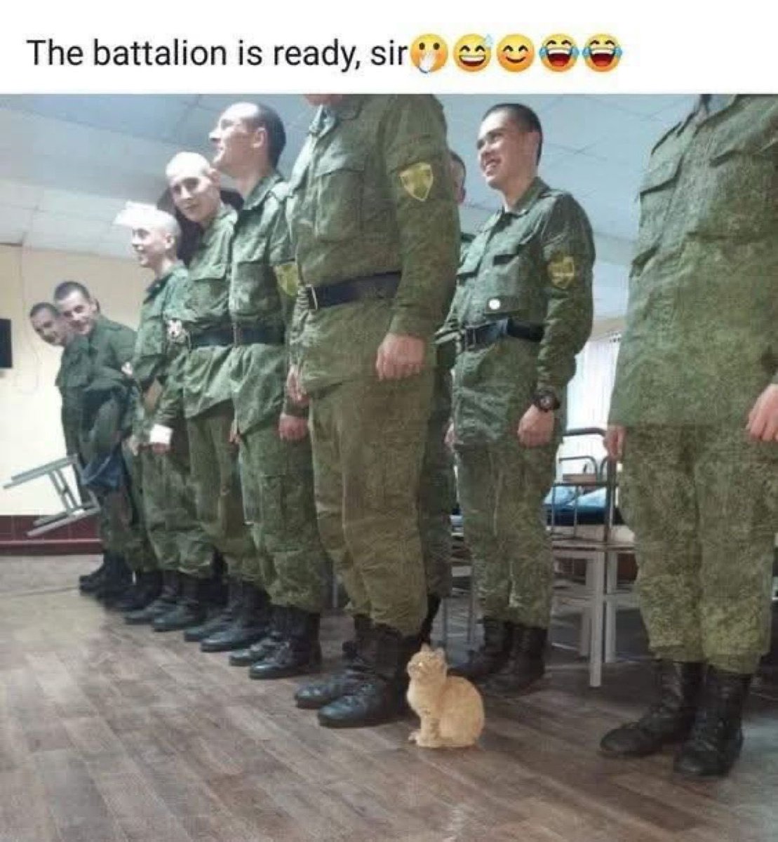 3. Captain kitty reporting for duty