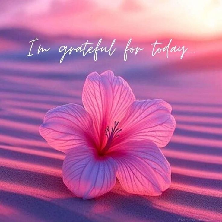 POSITIVITY (@positivitysaid) on Twitter photo  POSITIVITY (@positivitysaid) on Twitter photo