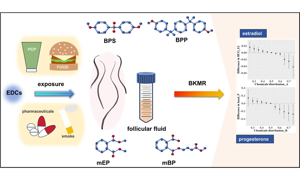🔬 New study: Co-exposure of phthalates, bisphenols, parabens, and polycyclic aromatic hydrocarbons in follicular fluid of women undergoing assisted reproductive technologies and the associations with hormone levels
👉oaepublish.com/articles/jeea.…

#ReproductiveHealth #Toxicology