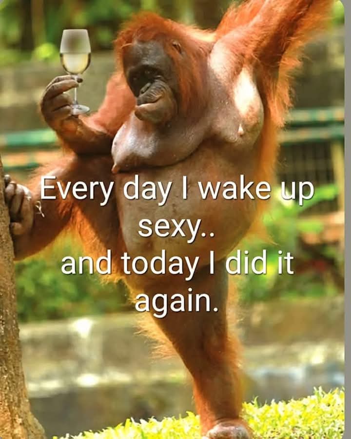 son (@waynebacon14) on Twitter photo 