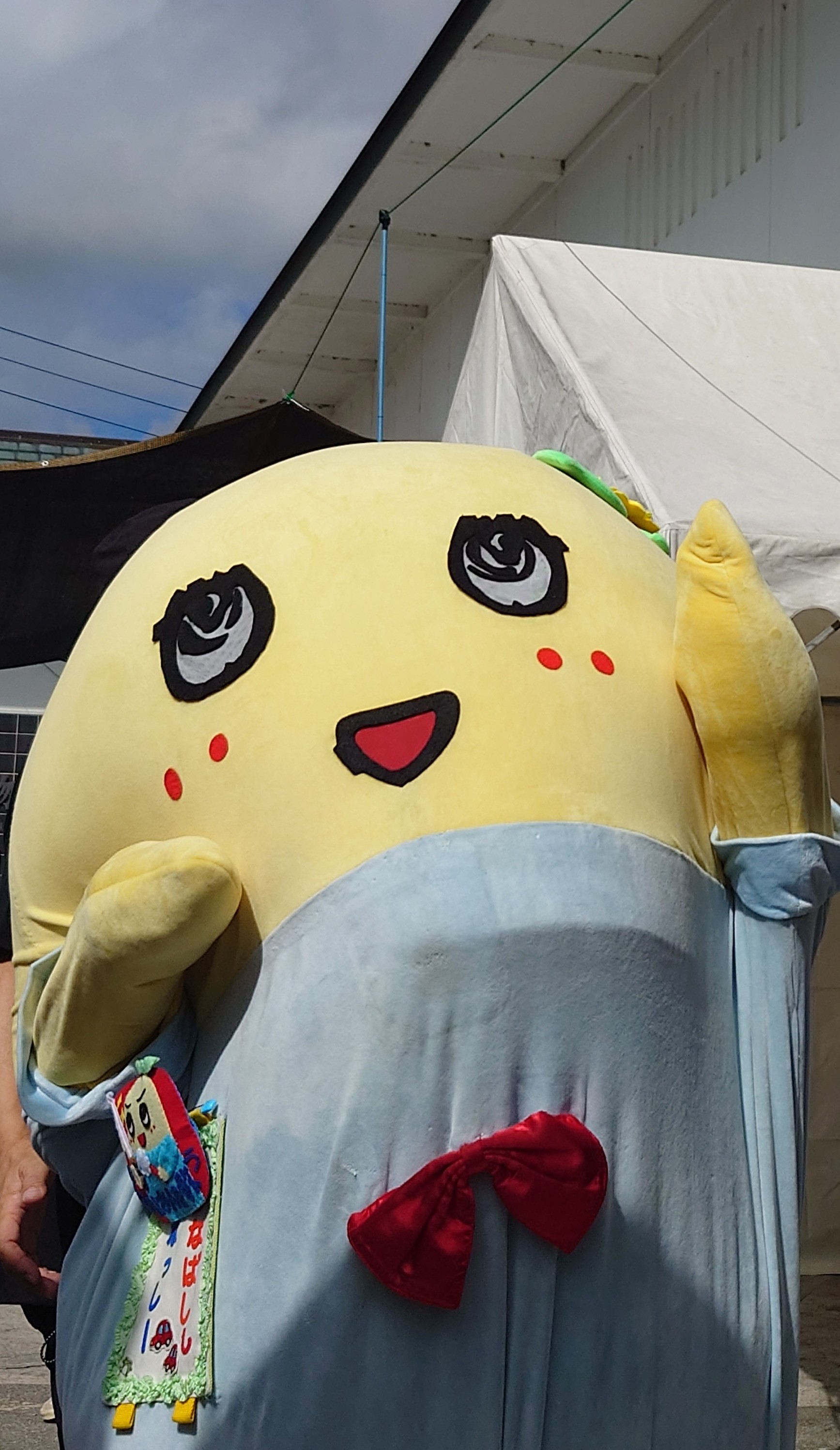 せぴこ(ゲンベック・せぴー)💙前世バンゲリングベイ
