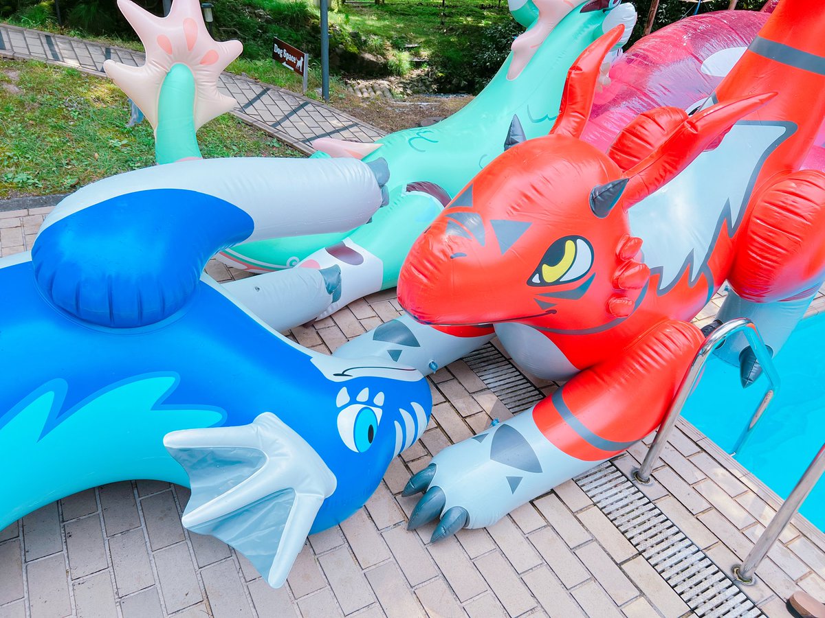 puni_all's tweet image. アーロンかぁ…🤔💭
(／. _.＼)ｳｰﾝ

このサイズうちにとってはスーパーベストサイズなのよねぇ.....