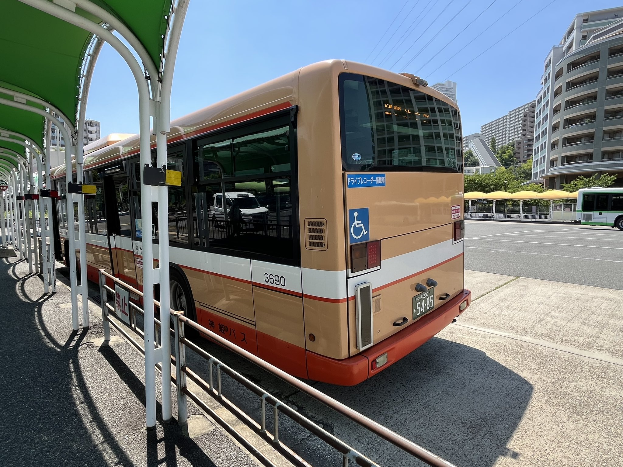 ヒヨ姫 61oGoXB68pL._UF350,350_QL50_.jpg