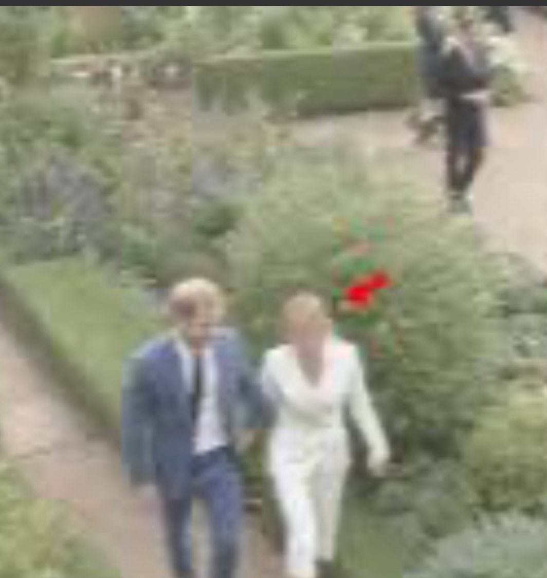 Andrea Younker 👑 🍅 tweet media