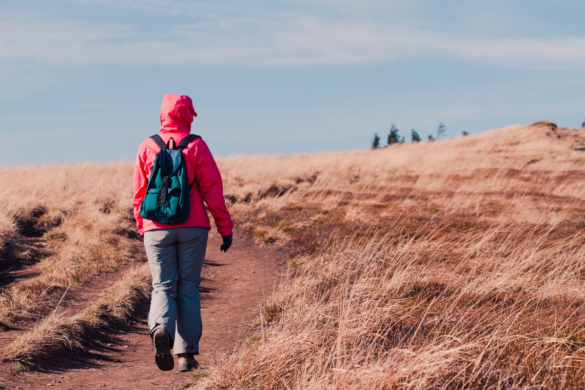 Victor Sheverda tweet media