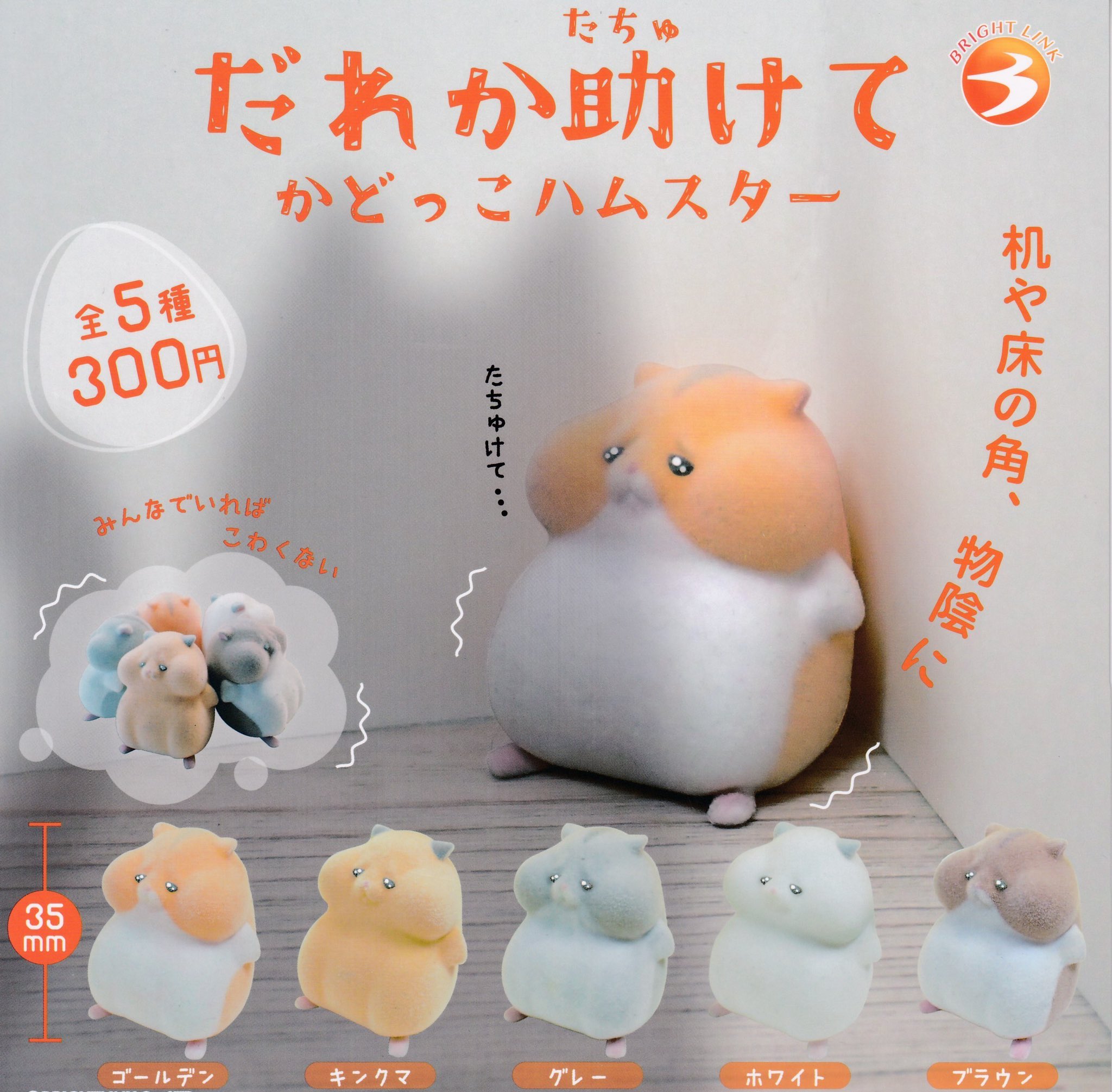 ガチャガチャ　動物系 T-ARTS - 🐶🐈ガチャガチャ zoo zoo zoo ミニチュア動物の通販