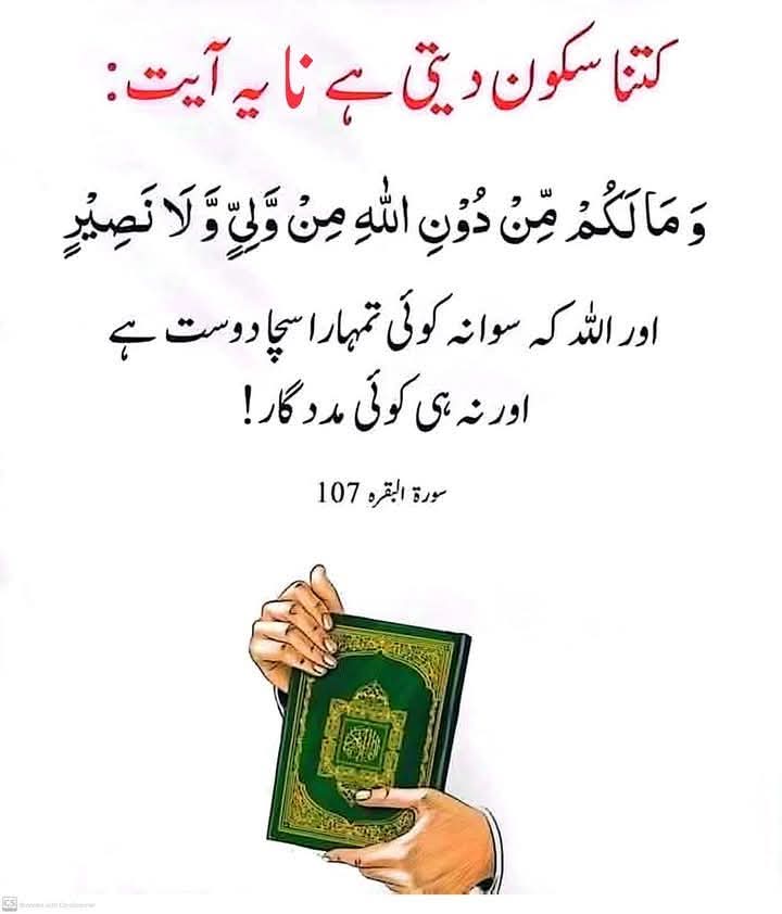 ⁧#پاکستان⁩
  ⁦<a href="/tarar_4/">❤️🇵🇰تارڑ🇵🇰❤️</a>⁩  
🌹
 ⁦<a href="/taari_baba/">بابا تاری</a>⁩ 
 ⁦<a href="/smh0t/">🌸محمود🌸</a>⁩
 ⁦<a href="/9oshg/">🌸 نوشی🌸</a>⁩
 ⁦<a href="/DrSalwa_1/">💞 سلوی💞</a>⁩ 
 ⁦<a href="/_Rai72/">MohsinRai</a>⁩
 ⁦<a href="/FM_VT81/">Fisher Man</a>⁩ 
 ⁦@s_dil2⁩