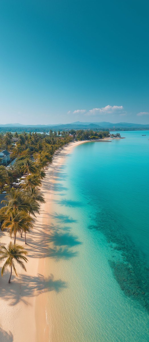 Stunning Tropical