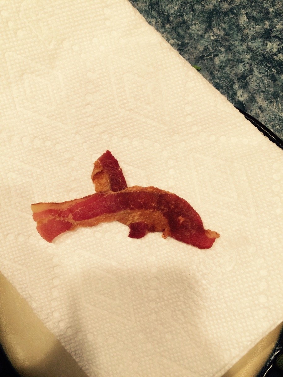 Ska (@xnskax) on Twitter photo Bacon Dolphin Bacon Dolphin