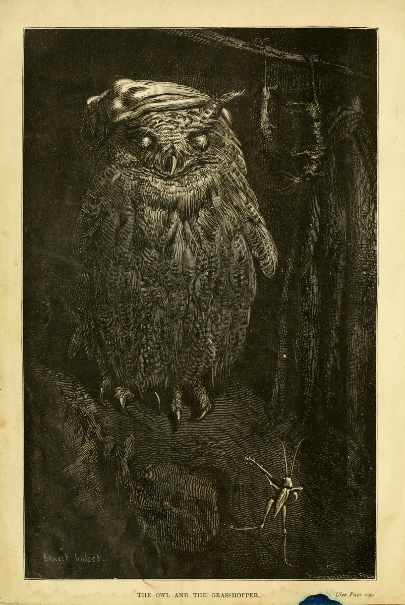 Ozymandias𓆏 (@0zmnds) on Twitter photo 