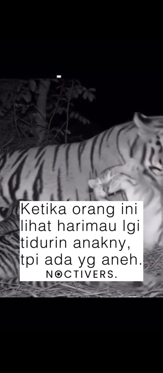 🧐🧐