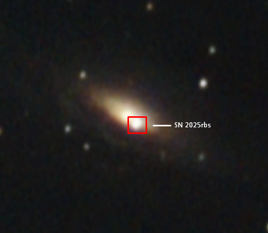 RyobiD's tweet photo. Observing a supernova from home is wild!!

SN 2025rbs viewed in NGC 7331 40 million years ago! https://t.co/EsN2e7rGiJ