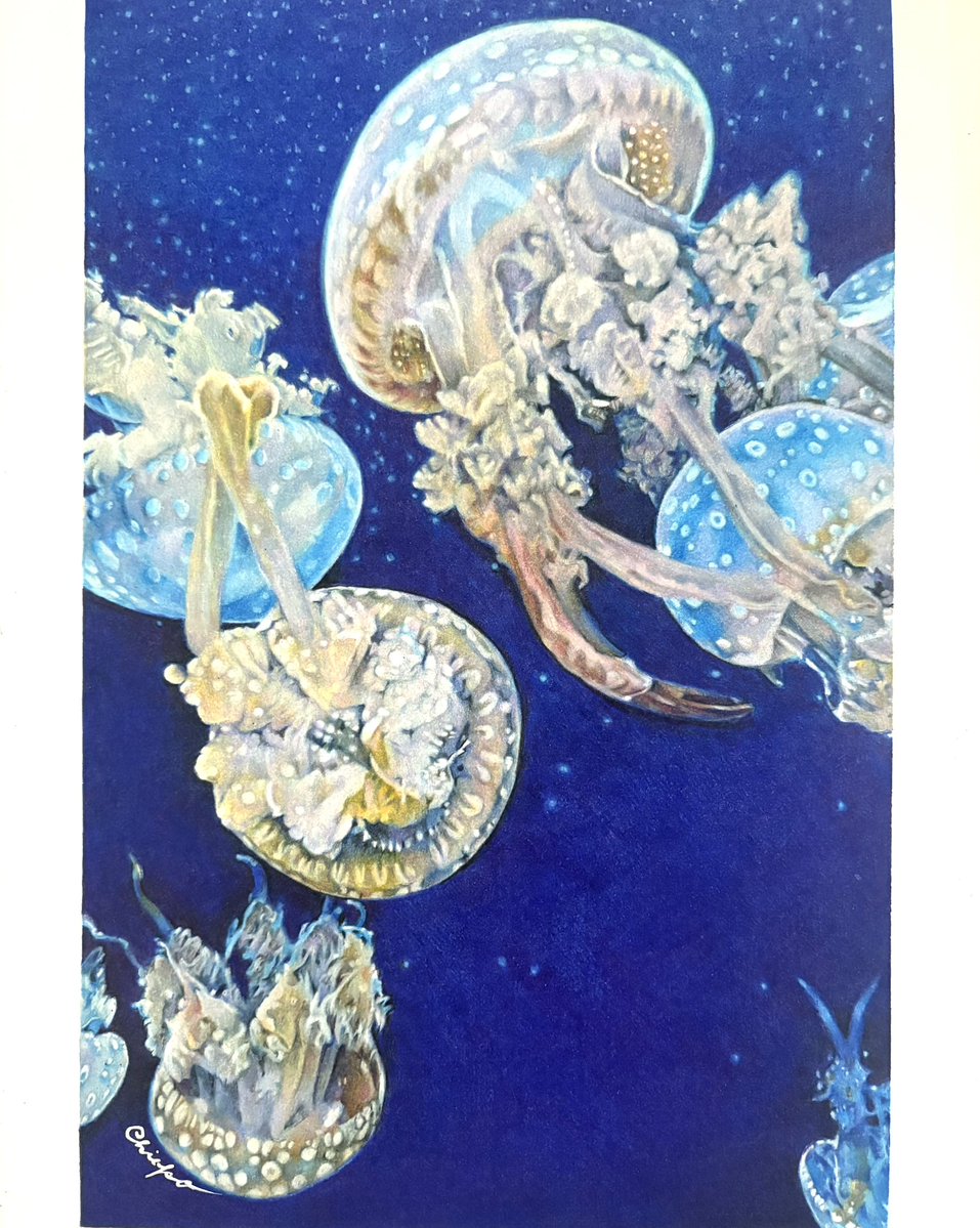 色鉛筆画 ☻002☻ページ 色鉛筆画 - Search / X