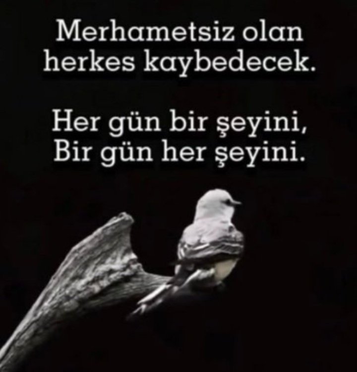 Sermayeyi, eşyayı, malı, parayı, ünü putlaştıran
kişi, özgür degil köledir.

#Günaydın 🍀✌️