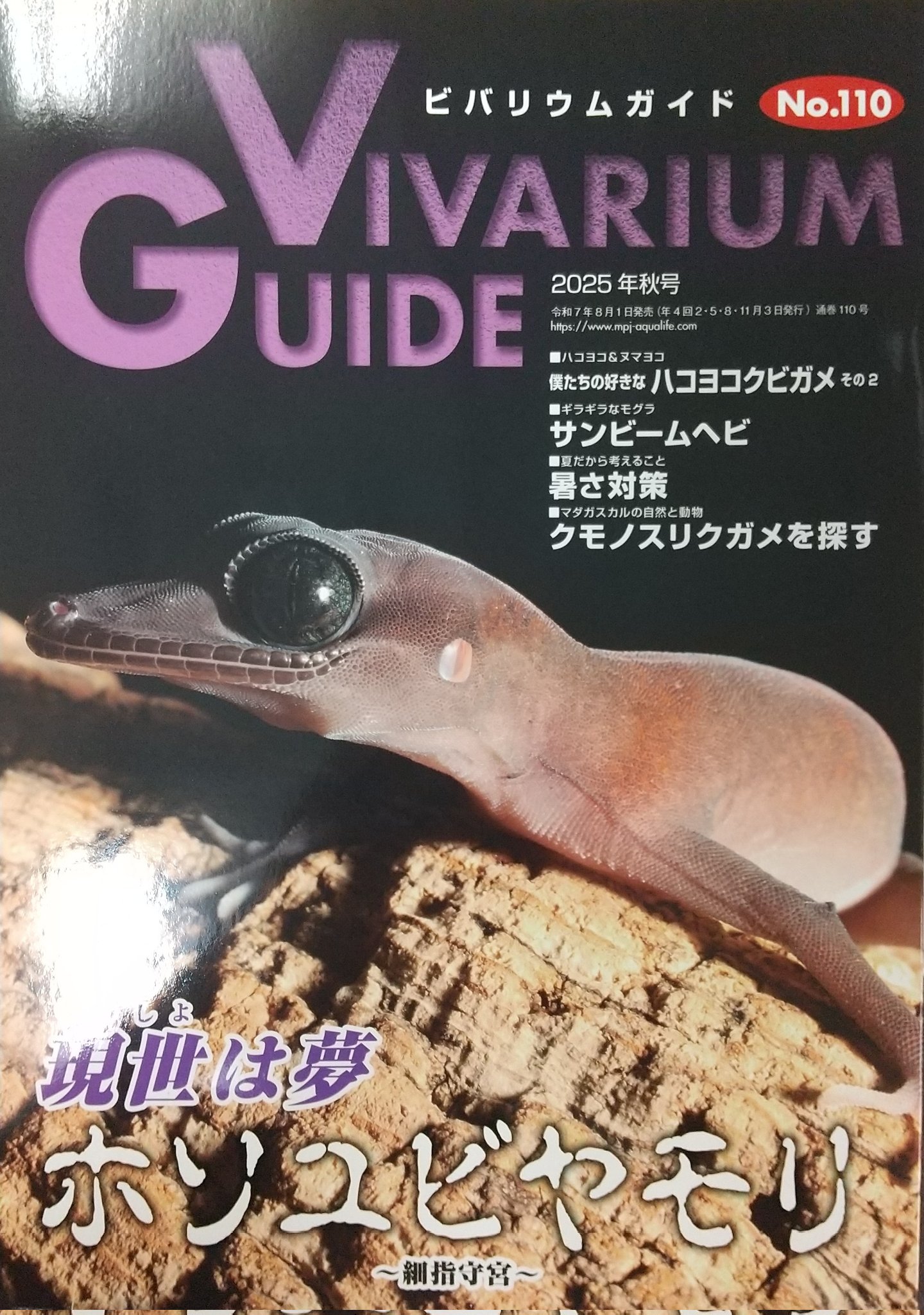 ビバリウムガイド　10冊セット③ MPJ 販売促進部 (@mpj_hansoku) / X