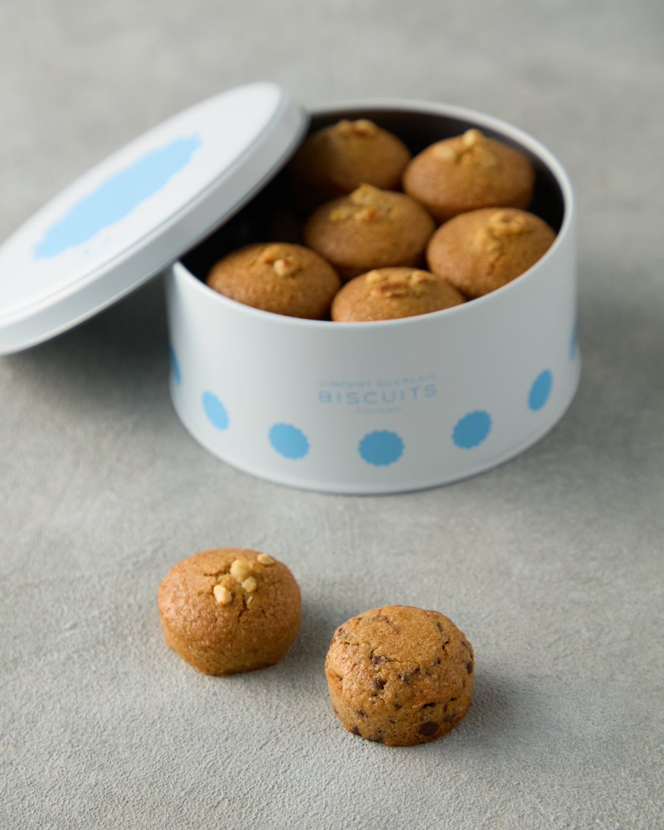 BERNACHON フレーズイヴォワールド　ビスキュイ BERNACHON フレーズイヴォワールド ビスキュイ ヴァンサン ゲルレ