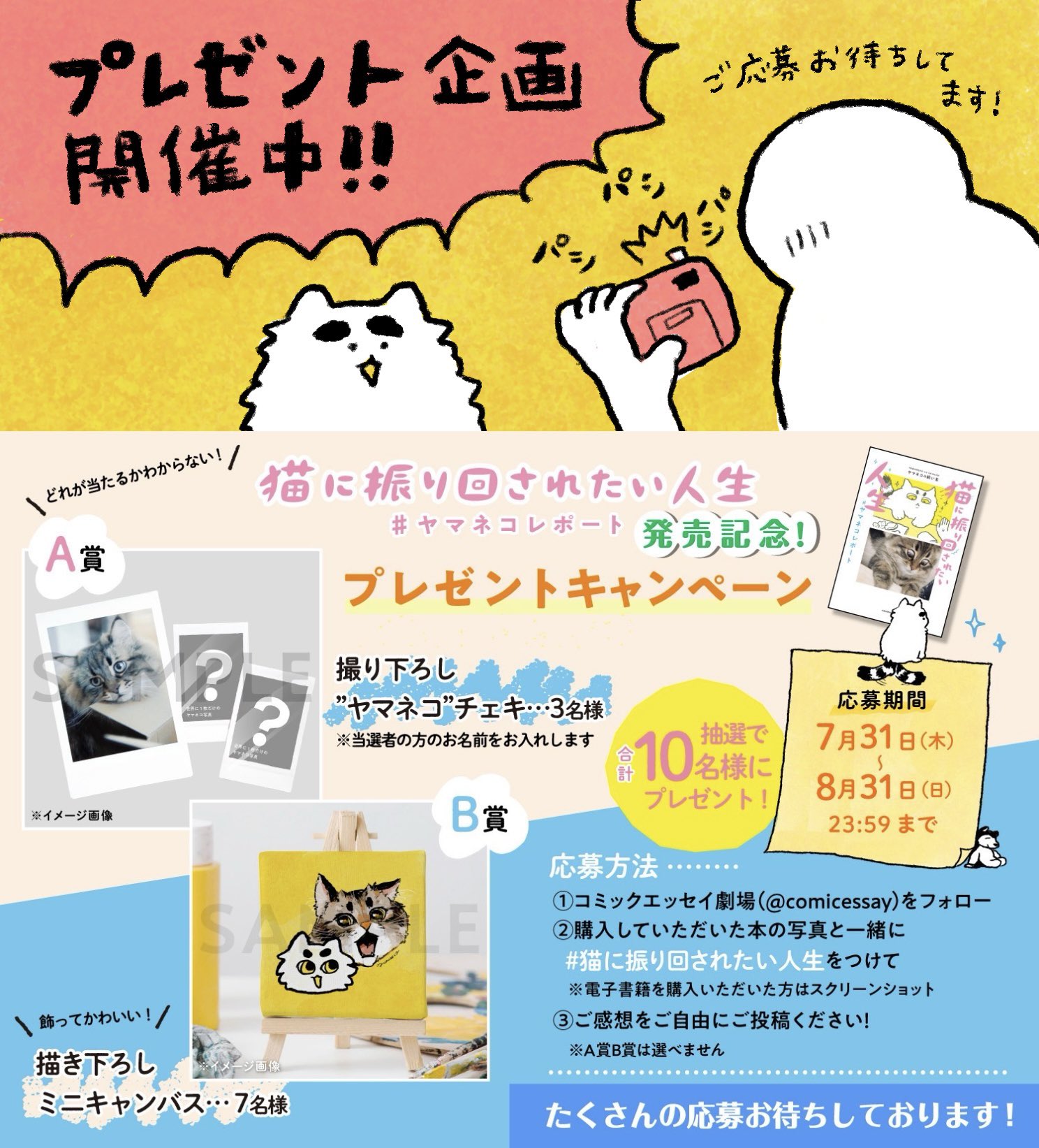 やまねこページ Amazon.co.jp: くまとやまねこ : 湯本 香樹実, 酒井 駒子: 本