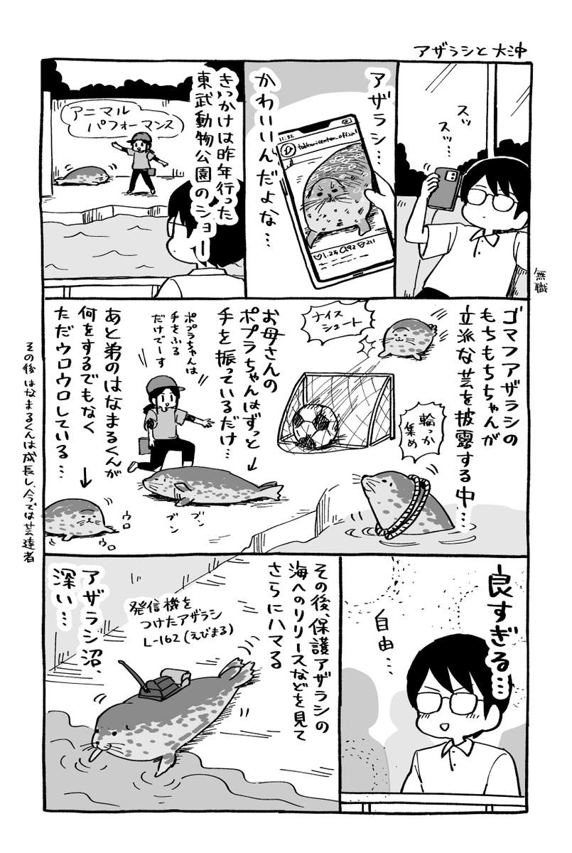 アザラシについて 