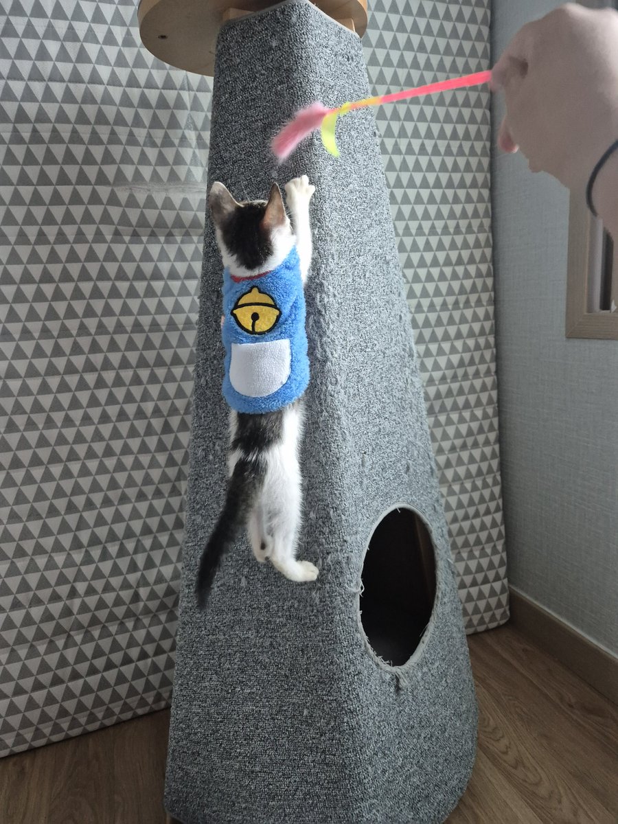 이제 멋진 나무타기 스킬도 구사함 #햄복이임보일기