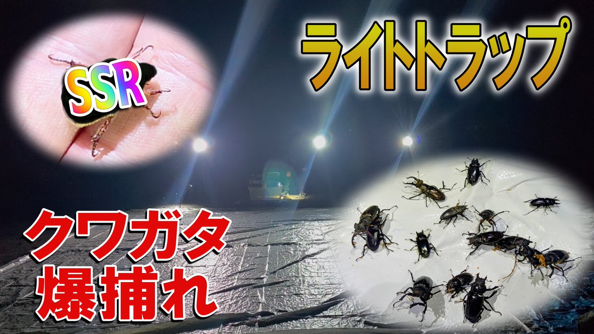 今峰 (@Not_ProductName) / X