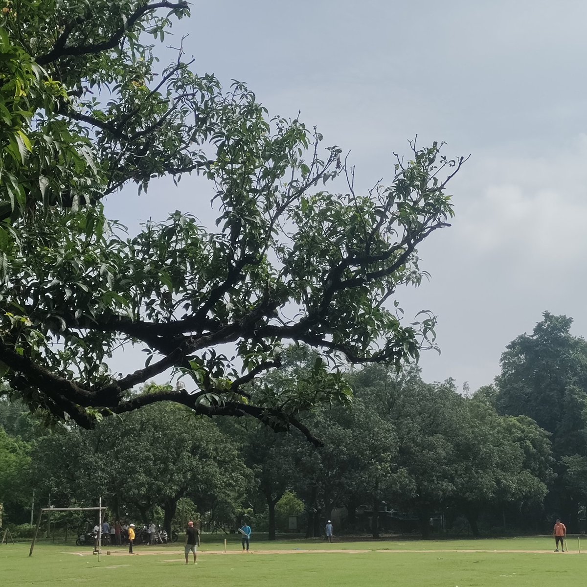 Digitvisionary's tweet image. Just played cricket