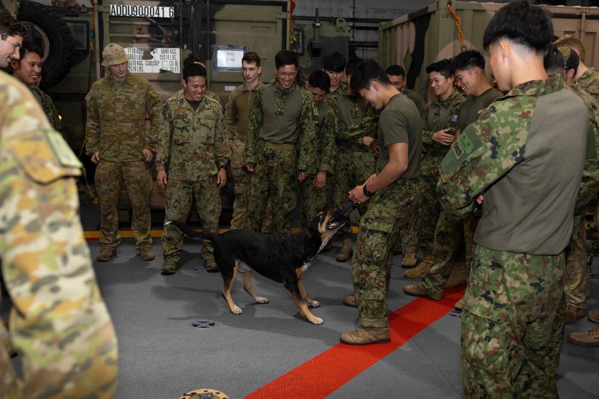 Check out #AusArmy soldiers with marines from <a href="/jointstaffpa/">防衛省統合幕僚監部</a> sharing knowledge, skills and camaraderie during a joint capability showcase on HMAS Canberra during #TalismanSabre25.  

📷 LSIS Connor Morrison

#TS25 #TalismanSabre25 #YourADF #StrongerTogether #OurPeople