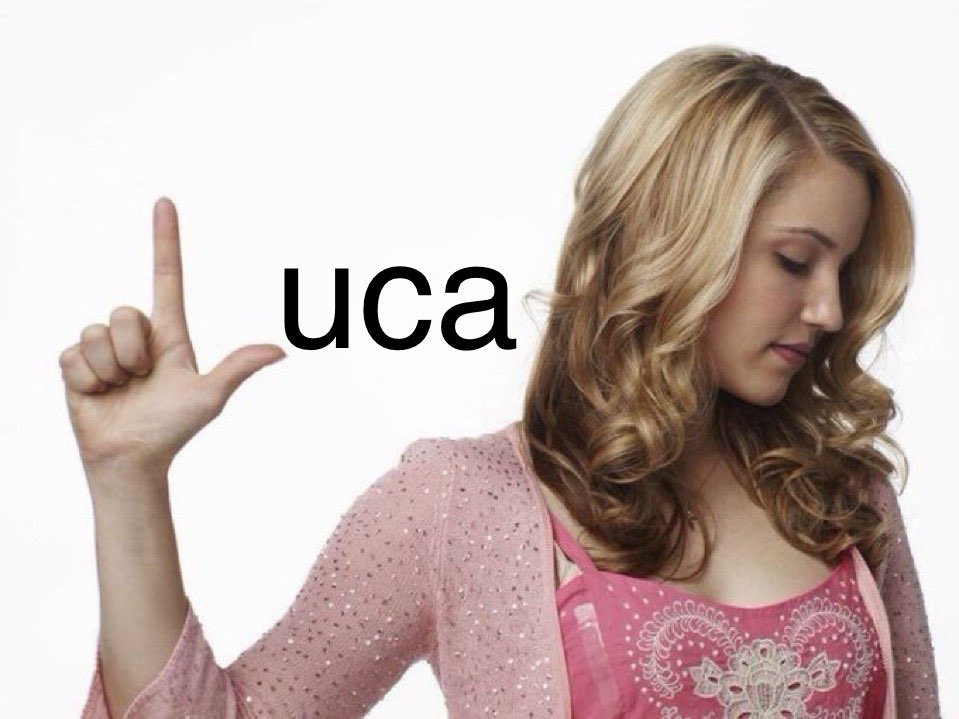 nibbmane's tweet image. 