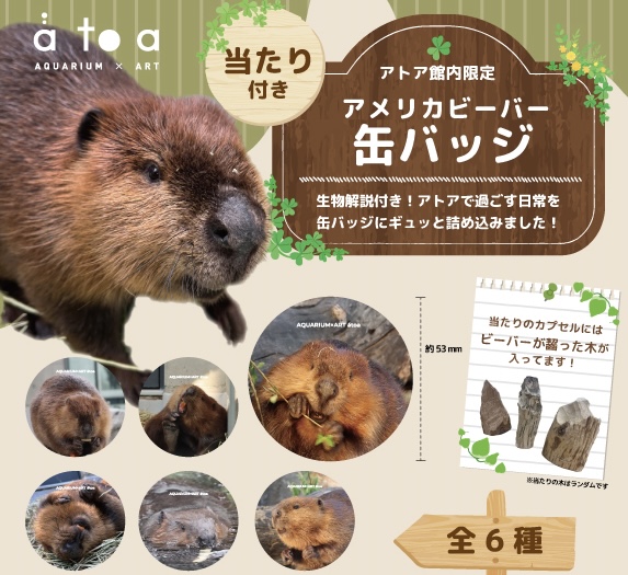 【⑧様】レッサーパンダ＆コツメカワウソ＆コウベモグラ＆アメリカビーバー 着ぐるみ ⑧様】レッサーパンダ＆コツメカワウソ＆コウベモグラ＆アメリカ