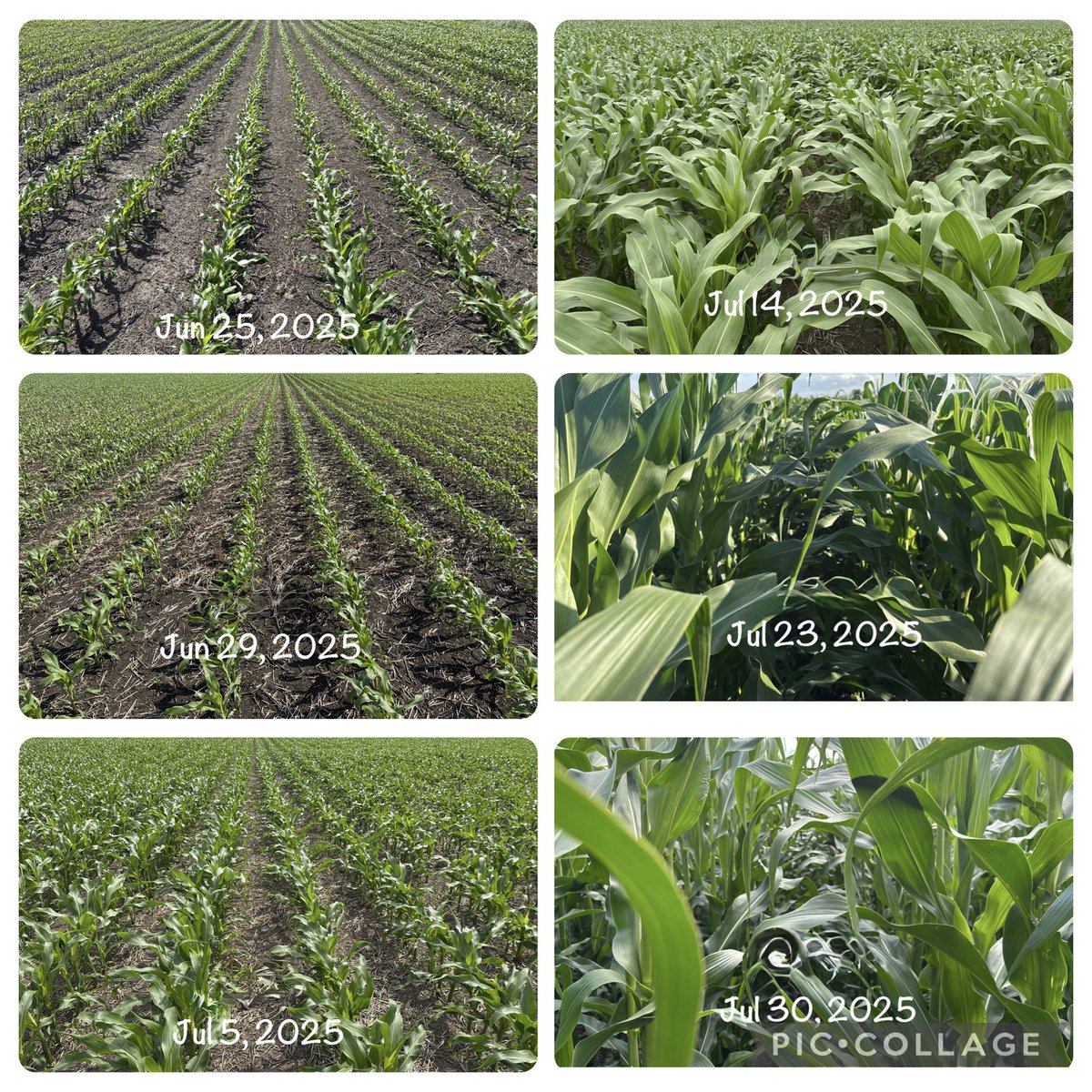 Elliott Hildebrand PAg tweet media