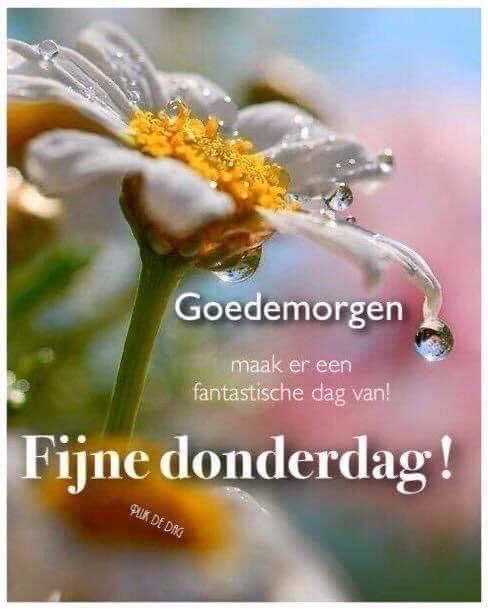 Goedemorgen iedereen