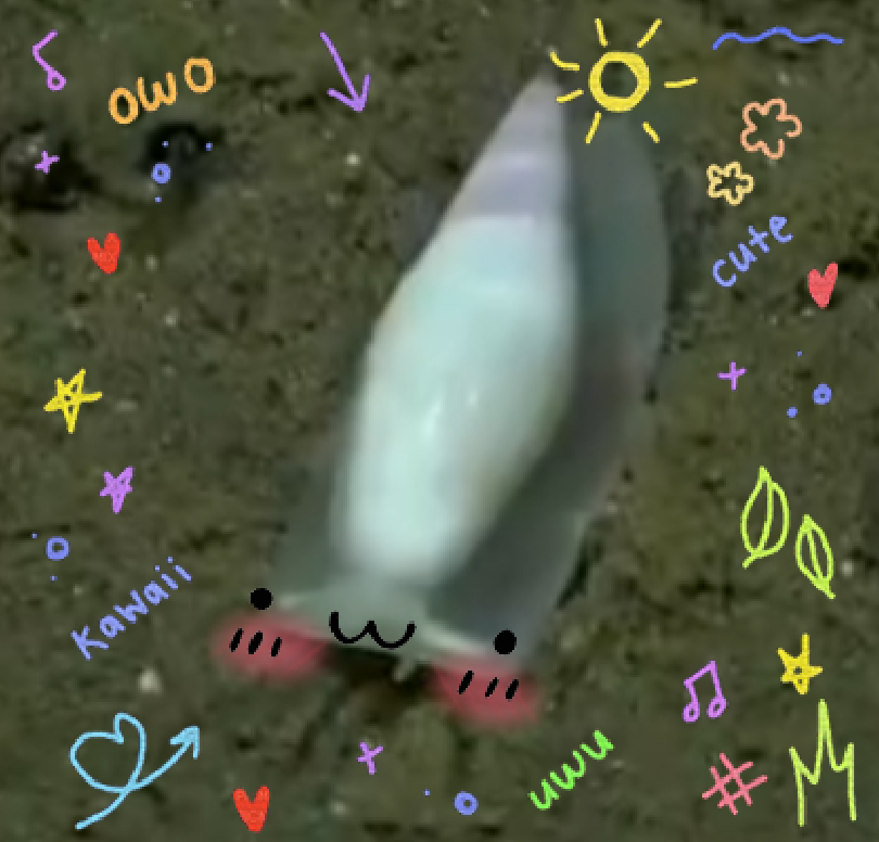 MAIAMEEEgg's tweet photo. https://t.co/UOp68Rx2SQ