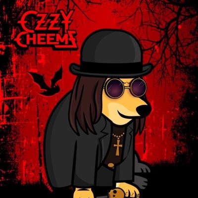 Amsterdance08's tweet photo. #NuevaFotoDePerfil https://t.co/AQ5jxtE9uk