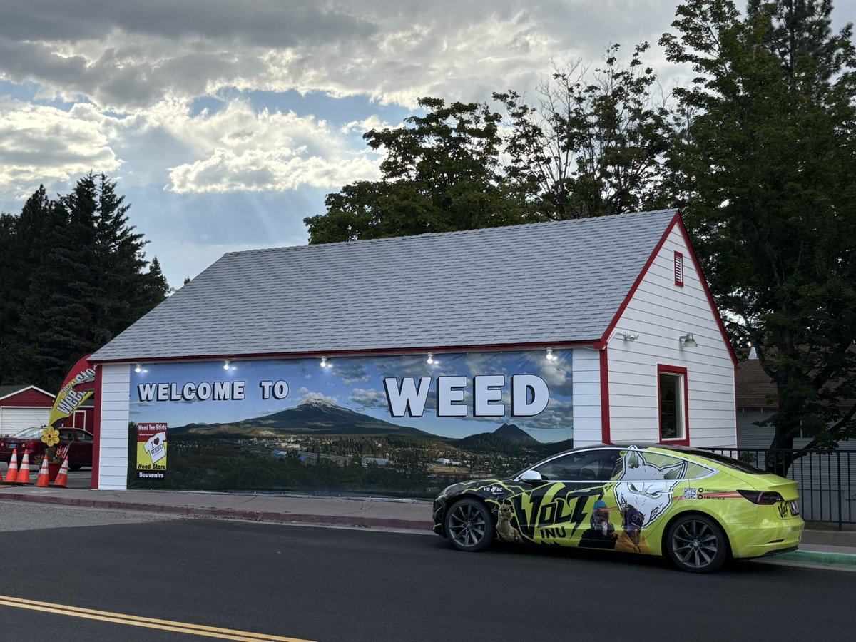 Volted Tesla tweet media