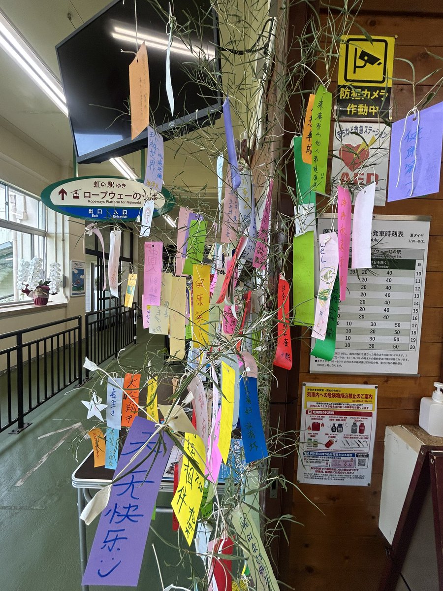 MayaViewline's tweet image. 摩耶山の七夕は旧暦で行います🎋
摩耶ケーブル駅と星の駅には笹飾り設置してますよ⭐️願いこと描いてみてください！
天上寺で祈願してくれますよ✨
そして…8月2日は笹おい七夕まつり開催です！

#摩耶山 #七夕
#子ども無料も2日から