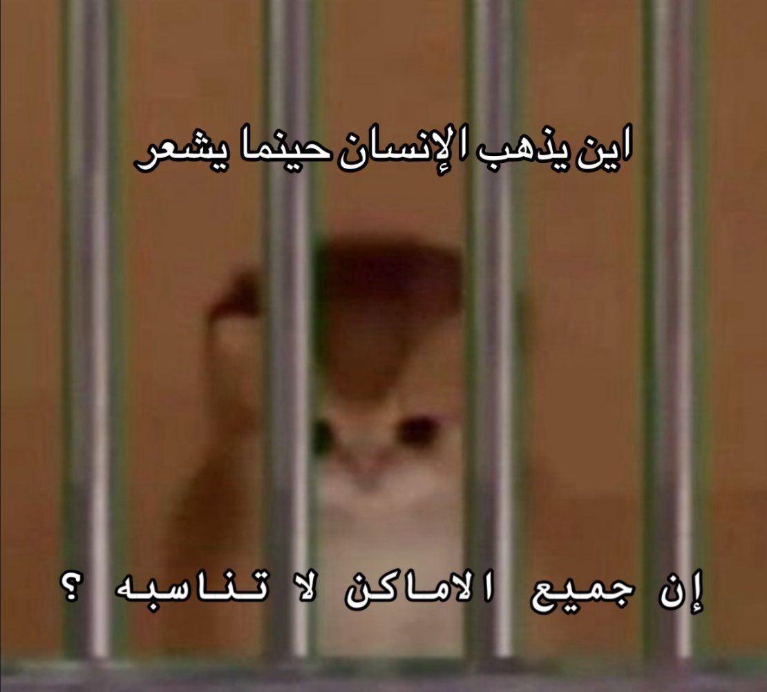 •K (@kkros0) on Twitter photo 