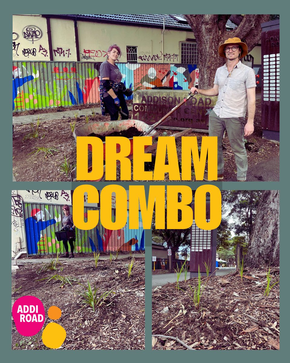 Addison Road Community Organisation (@addi_road) on Twitter photo 🌱✨ Addi Road x IndigiGrow ✨🌱
We’re proud to partner with <a href="/GrowIndigi/">IndigiGrow</a> supporting First Nations-led native plant projects that care for Country, community, and culture.
#AddiRoad #IndigiGrow #FirstNations #CommunityRoots #BlakLed 🌱✨ Addi Road x IndigiGrow ✨🌱
We’re proud to partner with <a href="/GrowIndigi/">IndigiGrow</a> supporting First Nations-led native plant projects that care for Country, community, and culture.
#AddiRoad #IndigiGrow #FirstNations #CommunityRoots #BlakLed