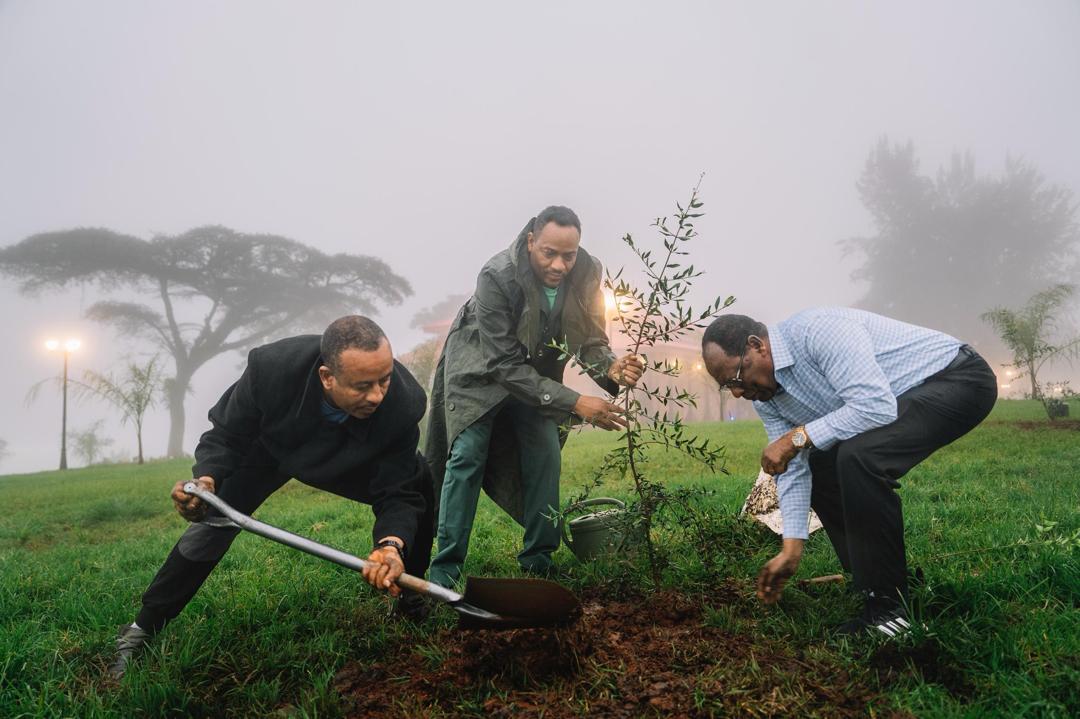 We kicked off this year’s one-day #GreenLegacy planting early this morning. Our goal for the 7th year: 700 million seedlings. Let’s achieve it together!