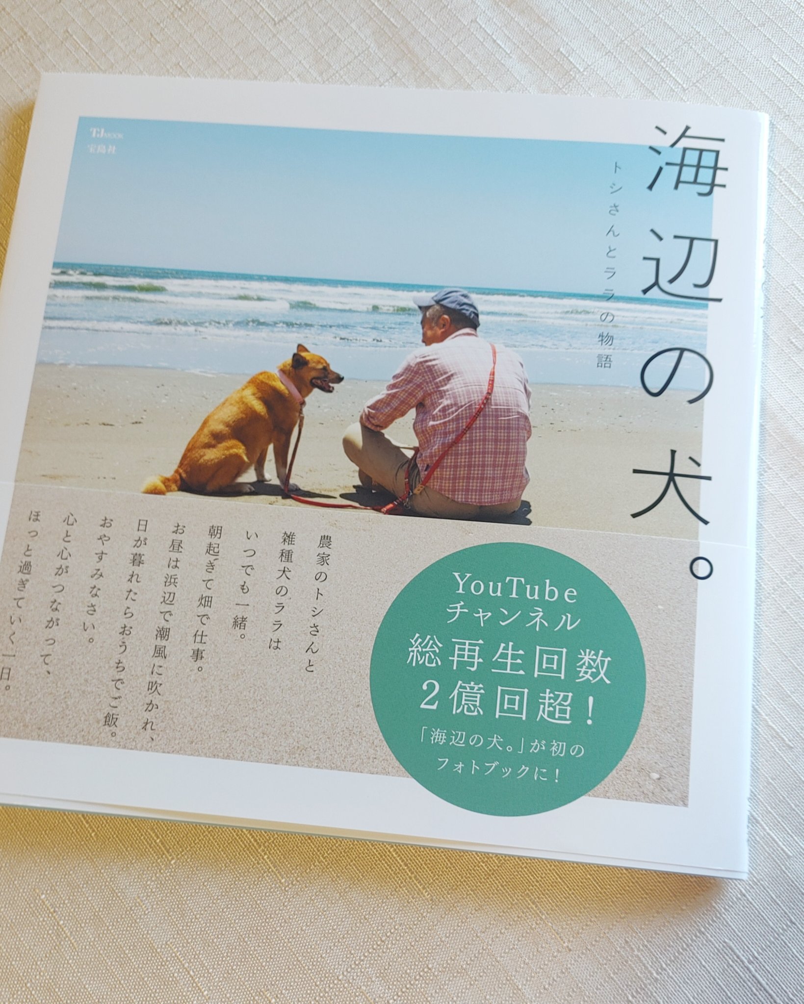 海辺の犬。トシさんとララ子の物語 海辺の犬。 (TJMOOK) | トシ