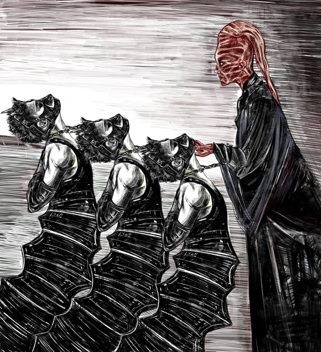 GM 
The study              the final