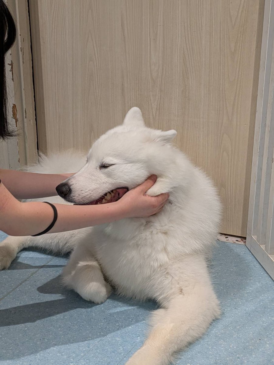 癒し！