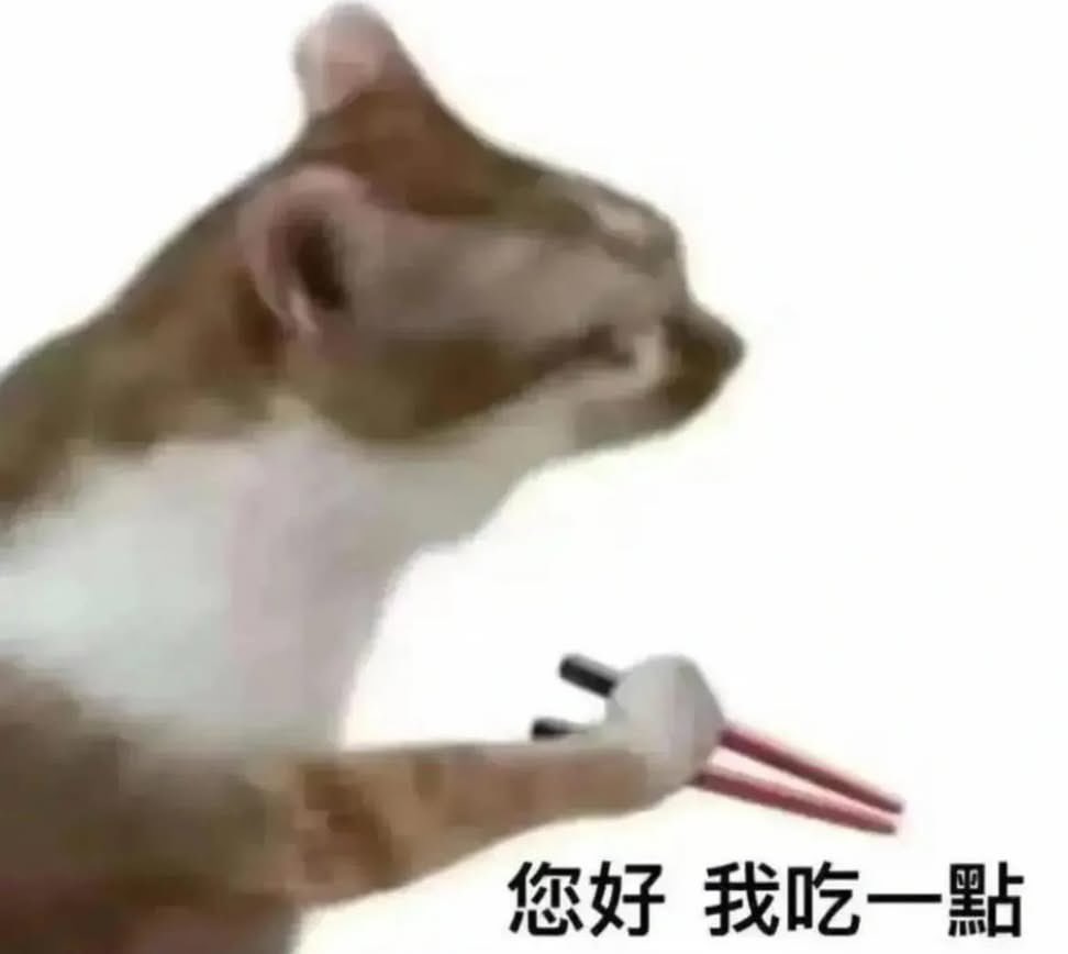 這裡是貓貓梗圖交換中心，請留下你的貓貓梗圖