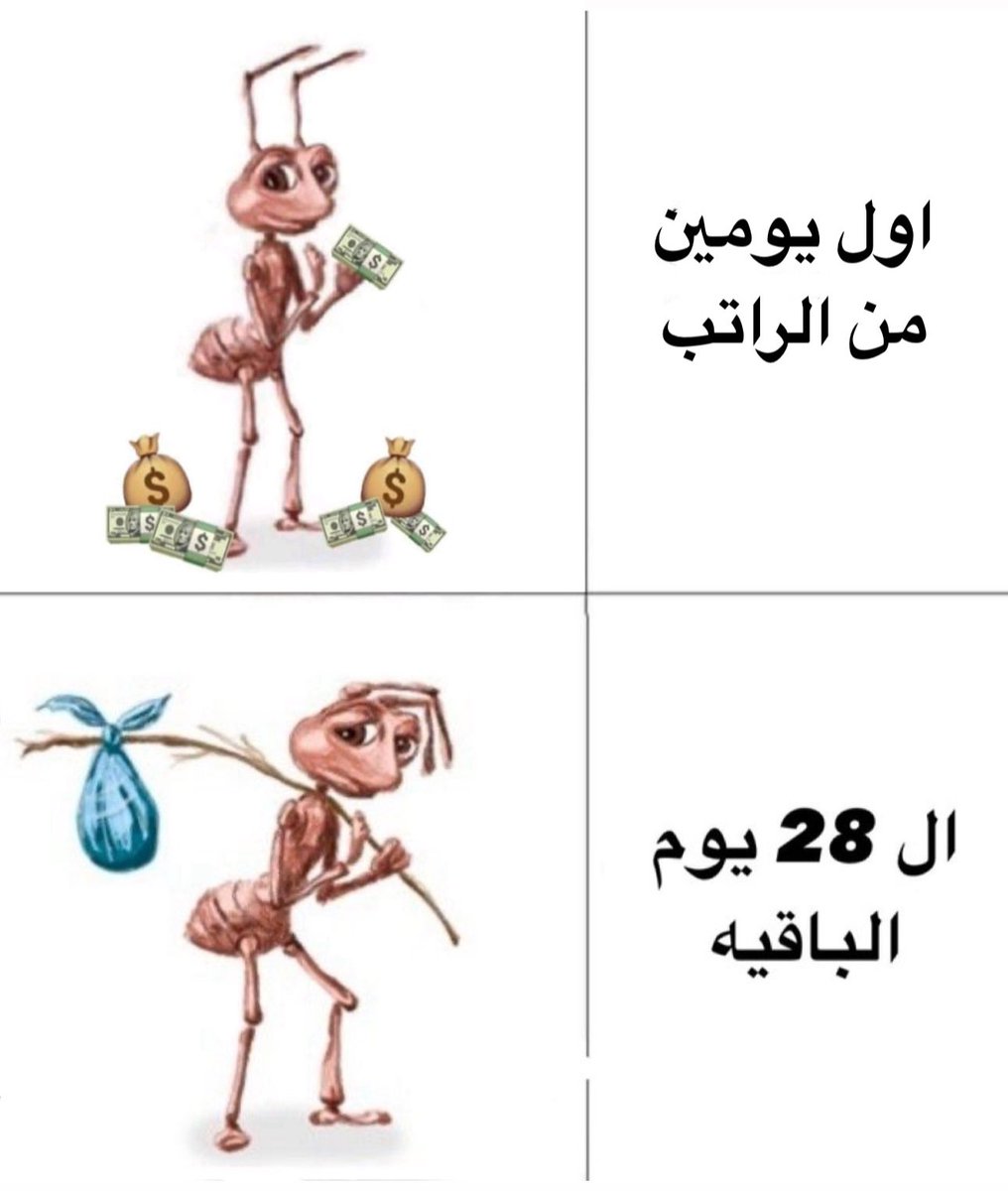 منصور (@i14nn) on Twitter photo 